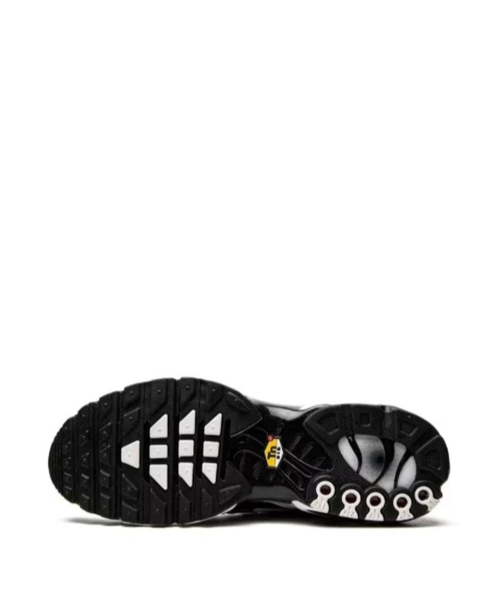 Air Max Plus “Black/Silver”